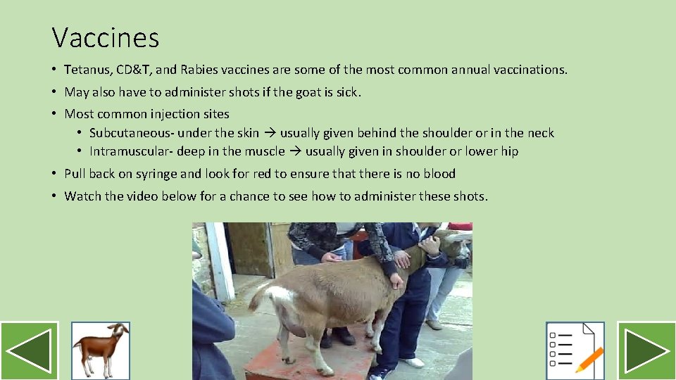 Vaccines • Tetanus, CD&T, and Rabies vaccines are some of the most common annual