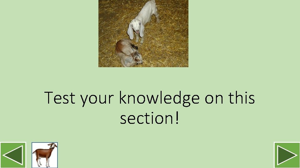 Test your knowledge on this section! 
