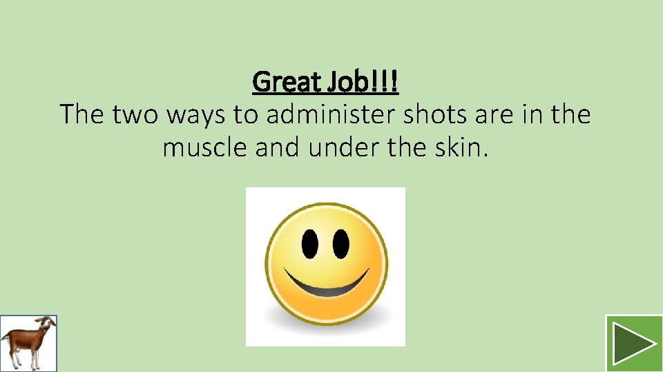 Great Job!!! The two ways to administer shots are in the muscle and under