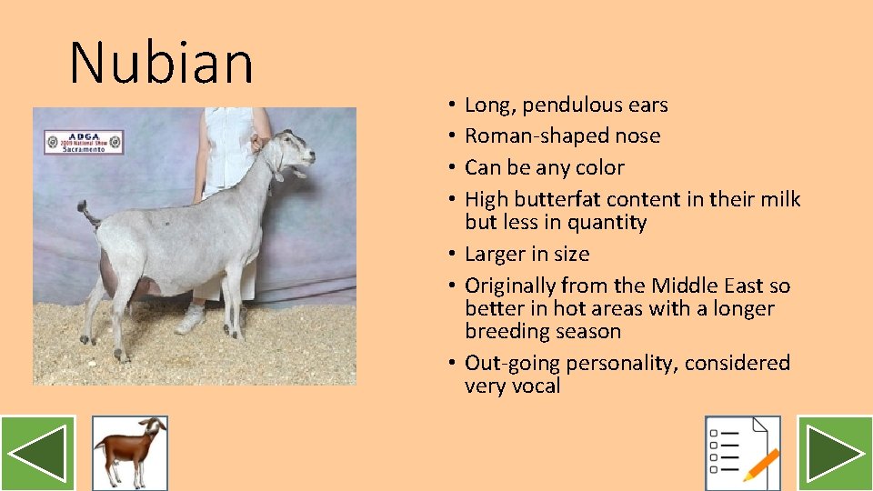 Nubian Long, pendulous ears Roman-shaped nose Can be any color High butterfat content in
