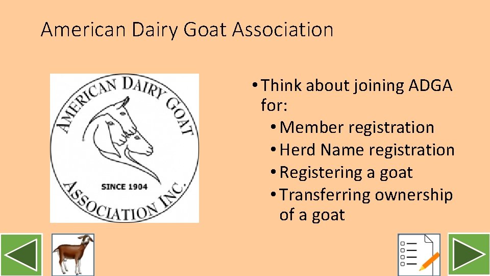 American Dairy Goat Association • Think about joining ADGA for: • Member registration •