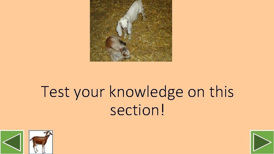 Test your knowledge on this section! 
