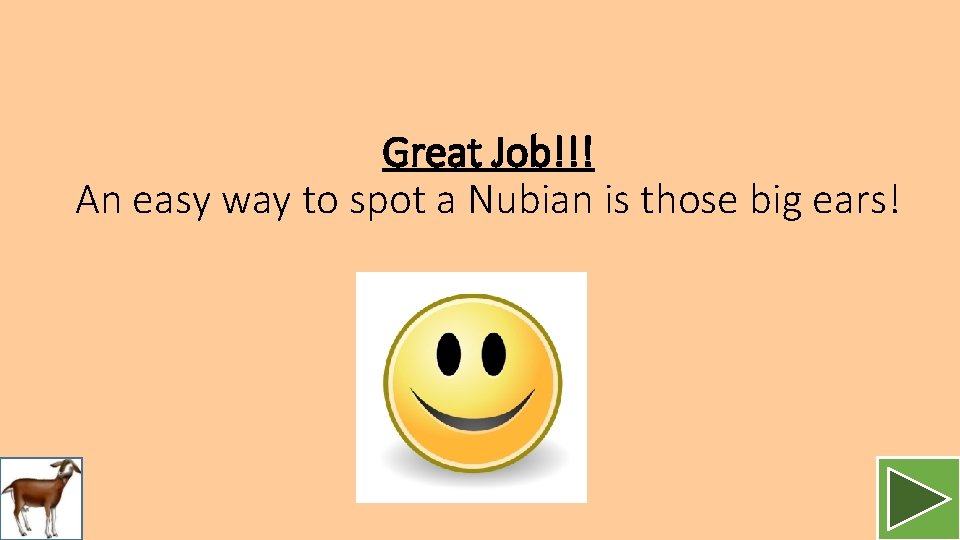 Great Job!!! An easy way to spot a Nubian is those big ears! 