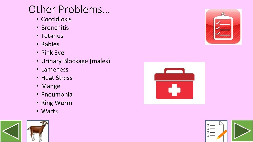 Other Problems… • • • Coccidiosis Bronchitis Tetanus Rabies Pink Eye Urinary Blockage (males)