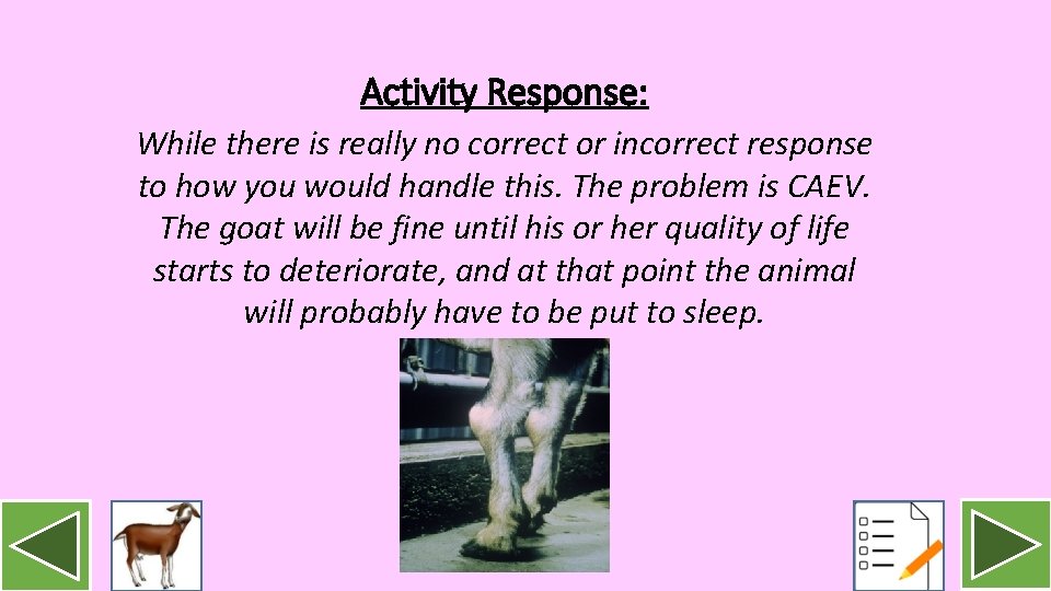 Activity Response: While there is really no correct or incorrect response to how you