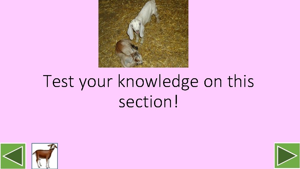 Test your knowledge on this section! 