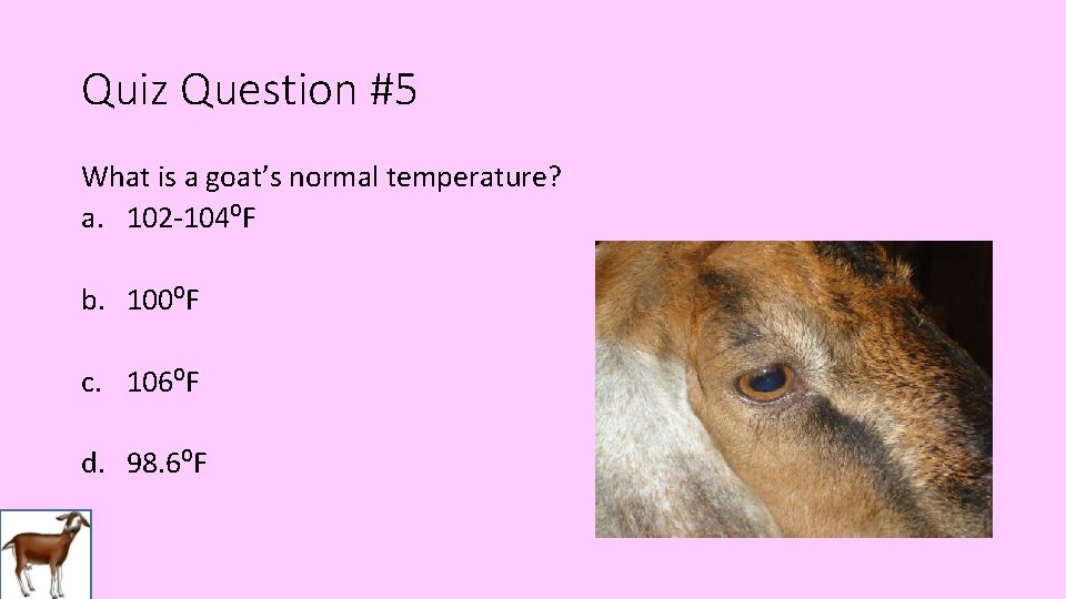 Quiz Question #5 What is a goat’s normal temperature? a. 102 -104⁰F b. 100⁰F