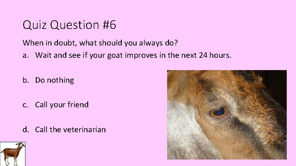 Quiz Question #6 When in doubt, what should you always do? a. Wait and