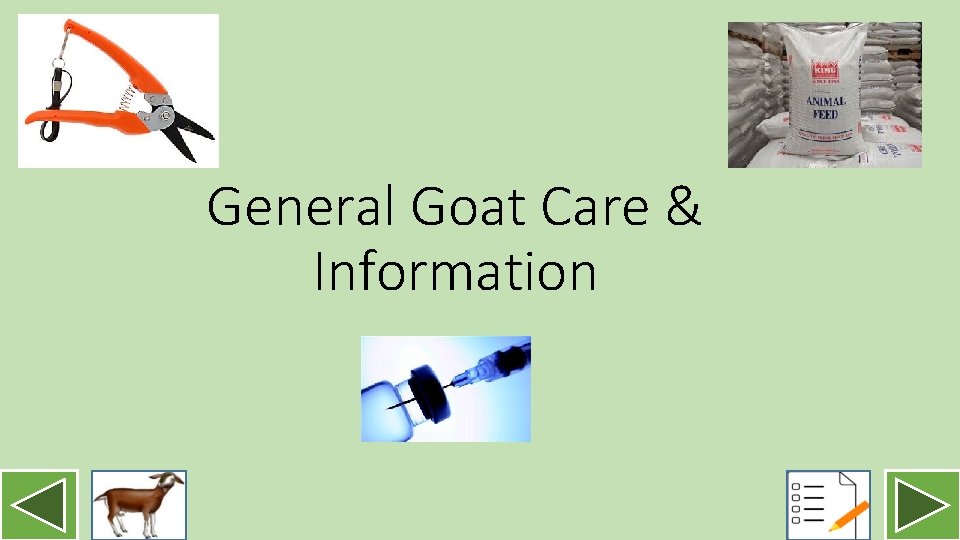 Learning to Raise Dairy Goats A beginners guide