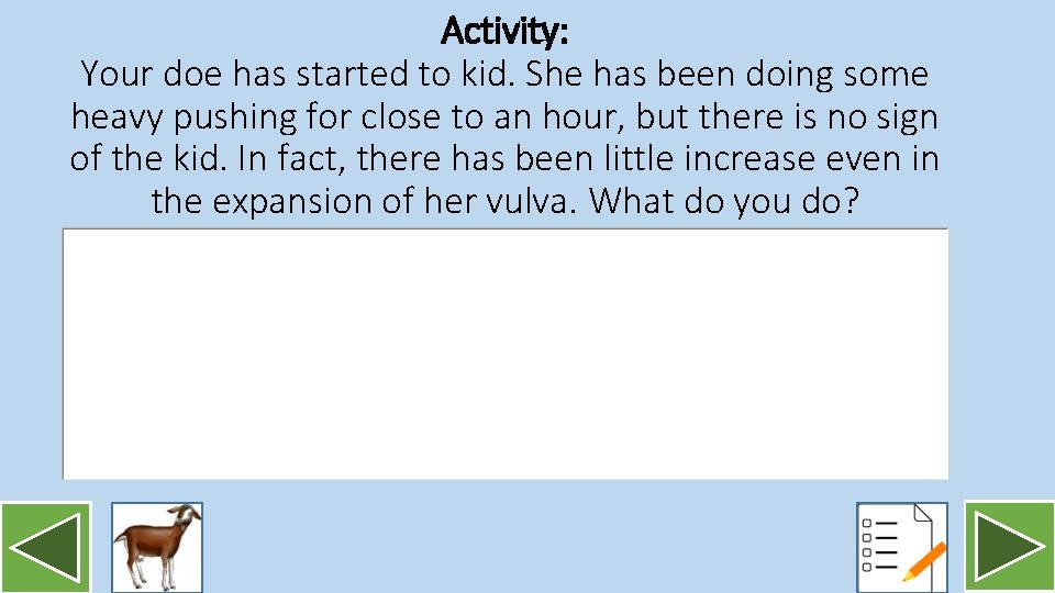 Activity: Your doe has started to kid. She has been doing some heavy pushing