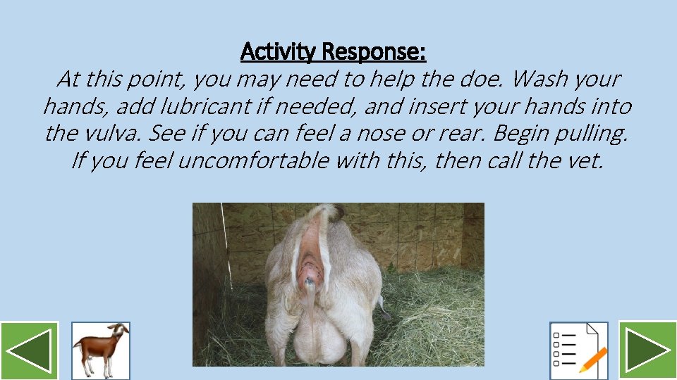 Activity Response: At this point, you may need to help the doe. Wash your
