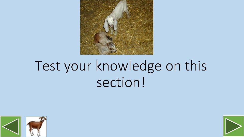 Test your knowledge on this section! 