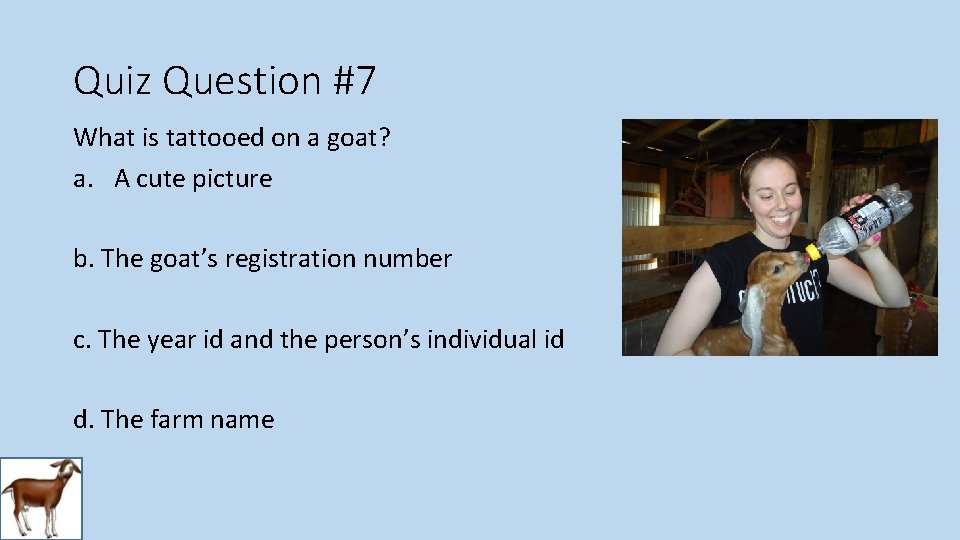 Quiz Question #7 What is tattooed on a goat? a. A cute picture b.