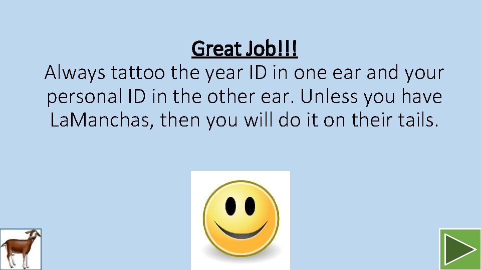 Great Job!!! Always tattoo the year ID in one ear and your personal ID
