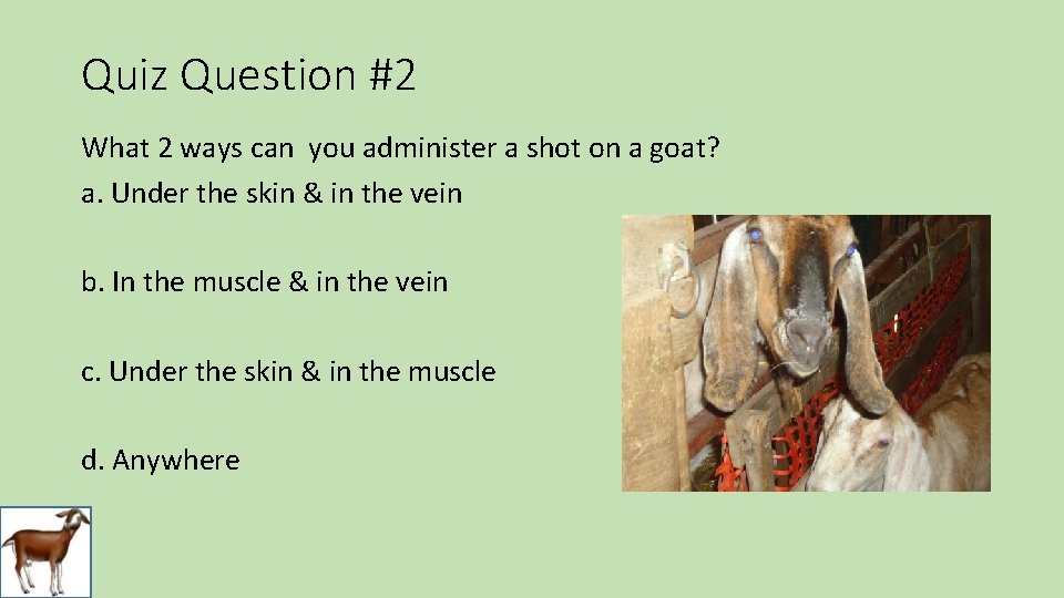 Quiz Question #2 What 2 ways can you administer a shot on a goat?