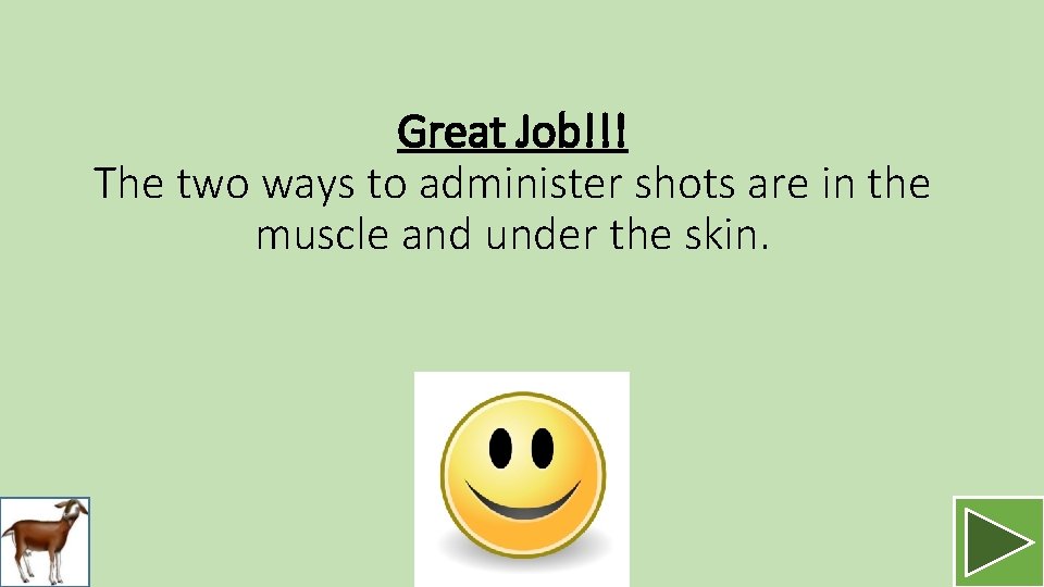 Great Job!!! The two ways to administer shots are in the muscle and under