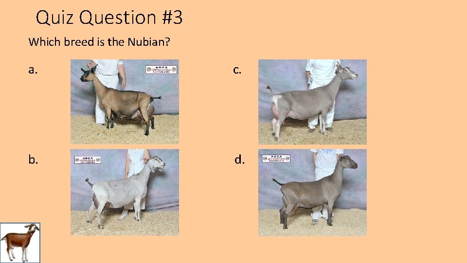 Quiz Question #3 Which breed is the Nubian? a. c. b. d. 