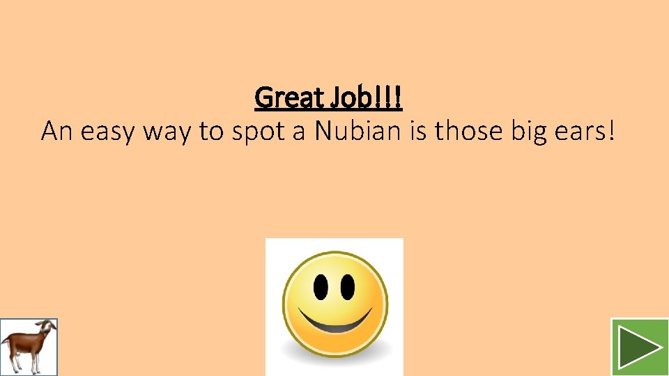 Great Job!!! An easy way to spot a Nubian is those big ears! 