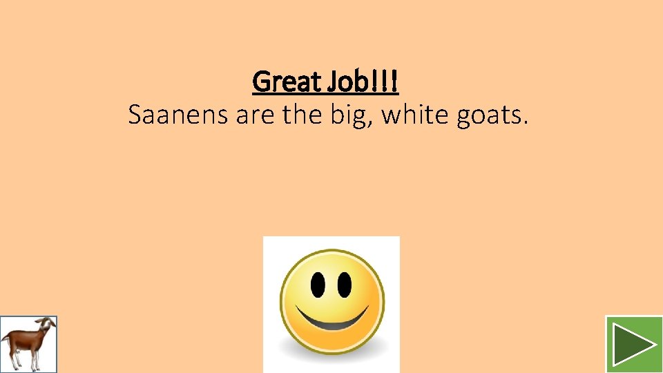Great Job!!! Saanens are the big, white goats. 