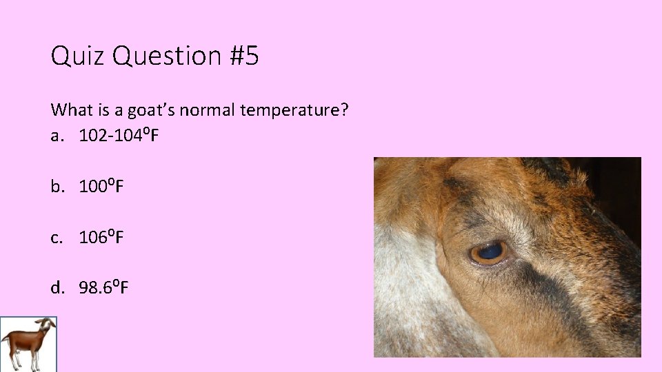 Quiz Question #5 What is a goat’s normal temperature? a. 102 -104⁰F b. 100⁰F