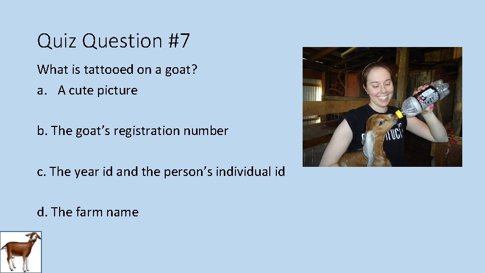 Quiz Question #7 What is tattooed on a goat? a. A cute picture b.