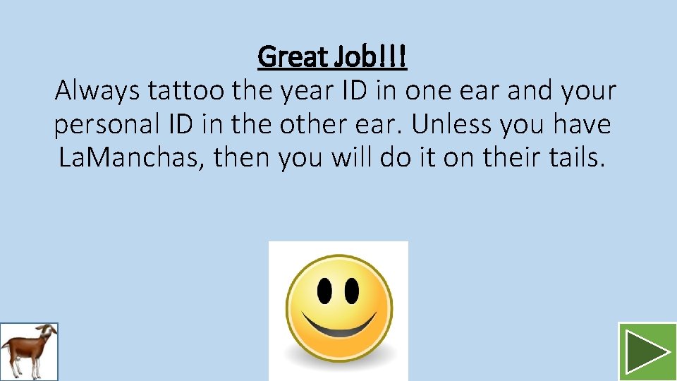 Great Job!!! Always tattoo the year ID in one ear and your personal ID