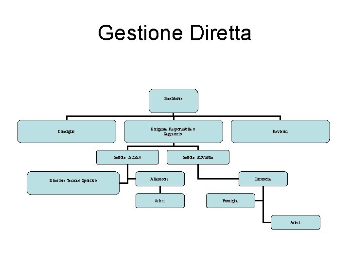 Gestione Diretta Presidente Dirigente Responsabile o Segretario Consiglio Settore Tecnico Direttore Tecnico Sportivo Revisori