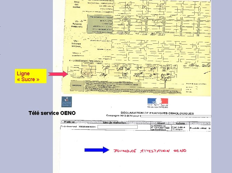 Ligne « Sucre » Télé service OENO 