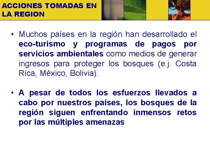 ACCIONES TOMADAS EN LA REGION • Muchos países en la región han desarrollado el