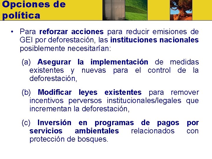 Opciones de política • Para reforzar acciones para reducir emisiones de GEI por deforestación,