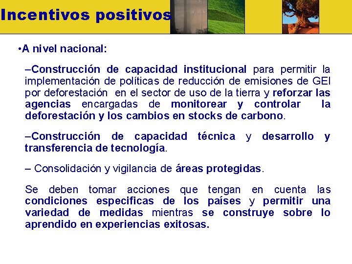 Incentivos positivos • A nivel nacional: –Construcción de capacidad institucional para permitir la implementación