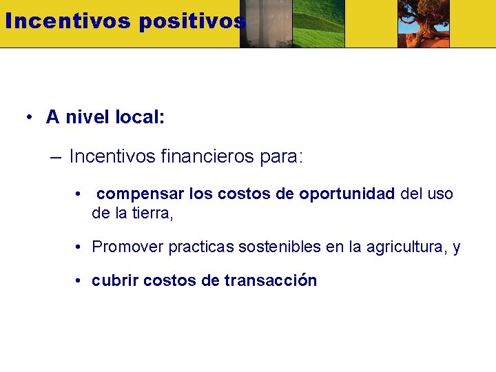 Incentivos positivos • A nivel local: – Incentivos financieros para: • compensar los costos