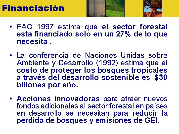 Financiación • FAO 1997 estima que el sector forestal esta financiado solo en un