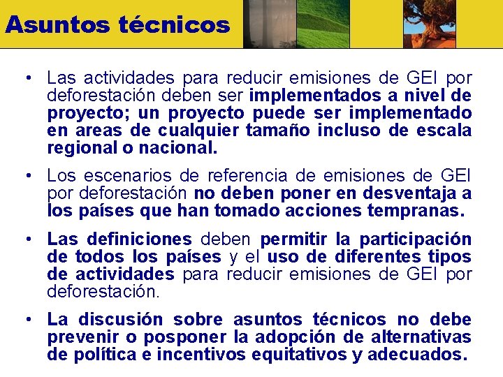 Asuntos técnicos • Las actividades para reducir emisiones de GEI por deforestación deben ser