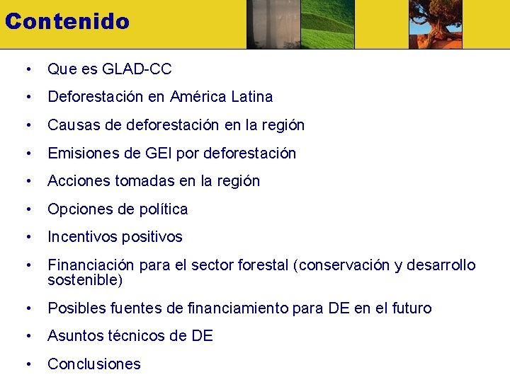 Contenido • Que es GLAD-CC • Deforestación en América Latina • Causas de deforestación