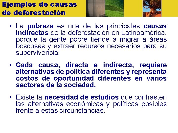 Ejemplos de causas de deforestación • La pobreza es una de las principales causas