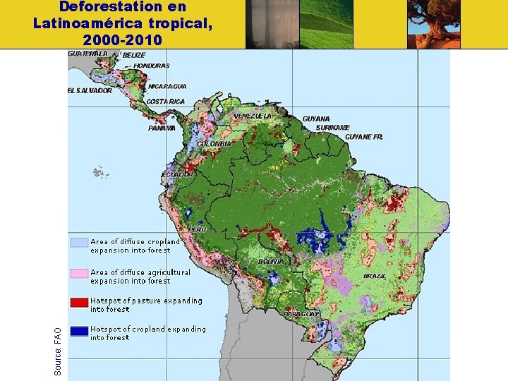 Source: FAO Deforestation en Latinoamérica tropical, 2000 -2010 