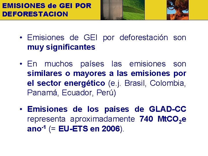 EMISIONES de GEI POR DEFORESTACION • Emisiones de GEI por deforestación son muy significantes