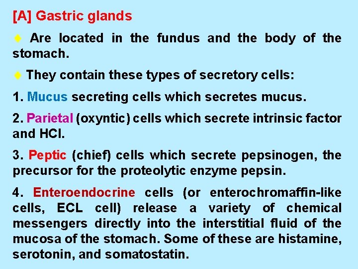 [A] Gastric glands Are located in the fundus and the body of the stomach.