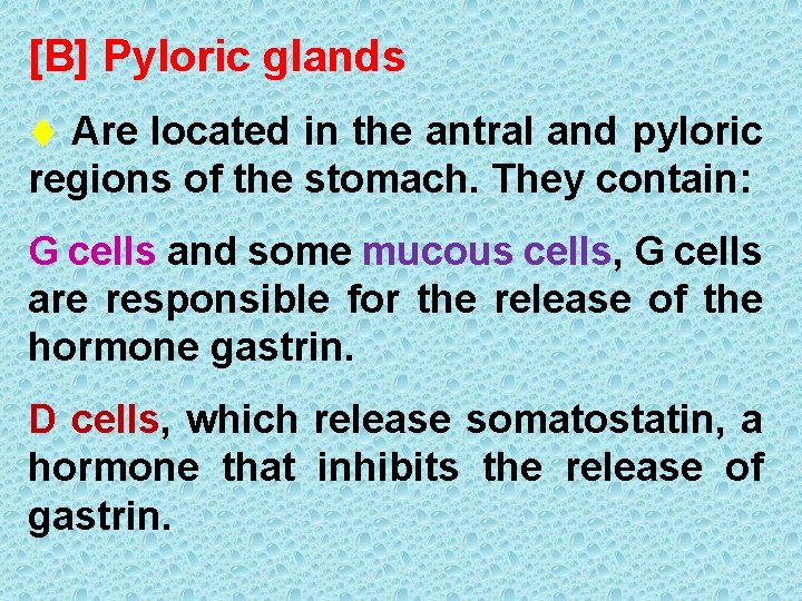 [B] Pyloric glands Are located in the antral and pyloric regions of the stomach.