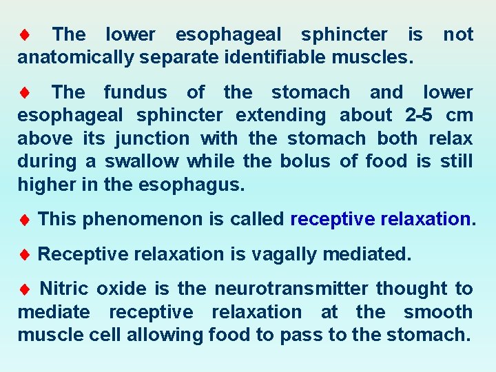  The lower esophageal sphincter is anatomically separate identifiable muscles. not The fundus of