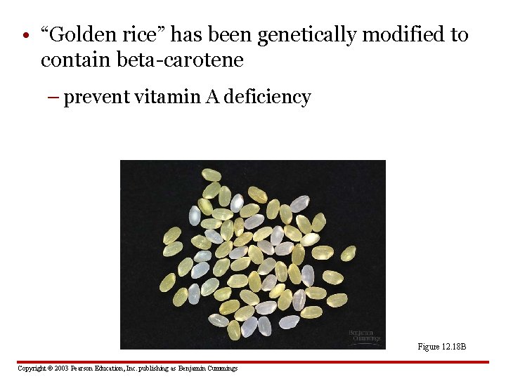  • “Golden rice” has been genetically modified to contain beta-carotene – prevent vitamin