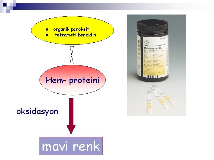 n n organik peroksit tetrametilbenzidin Hem- proteini oksidasyon mavi renk 