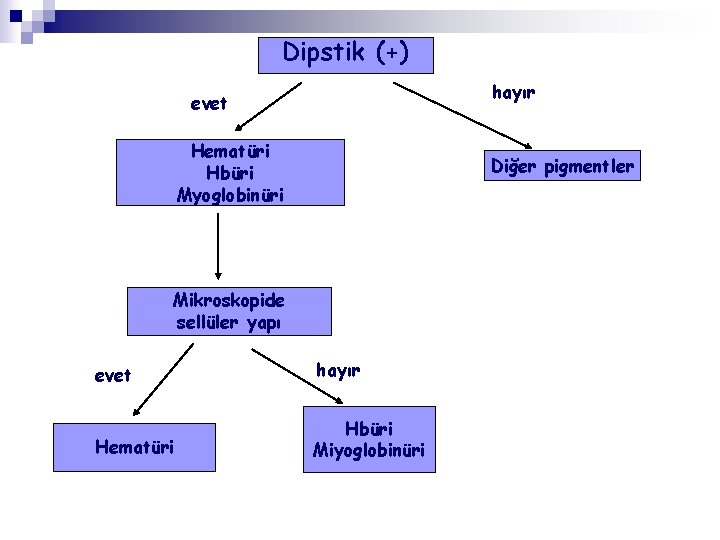 Dipstik (+) hayır evet Hematüri Hbüri Myoglobinüri Diğer pigmentler Mikroskopide sellüler yapı evet hayır