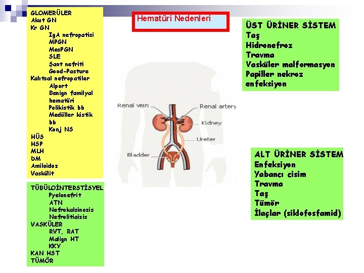 GLOMERÜLER Akut GN Kr GN Ig. A nefropatisi MPGN Mes. PGN SLE Şant nefriti