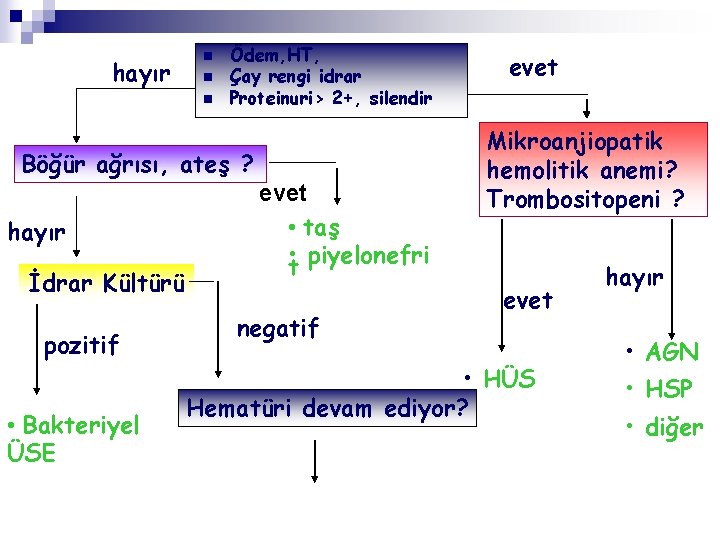 hayır n n n Ödem, HT, Çay rengi idrar Proteinuri> 2+, silendir Böğür ağrısı,