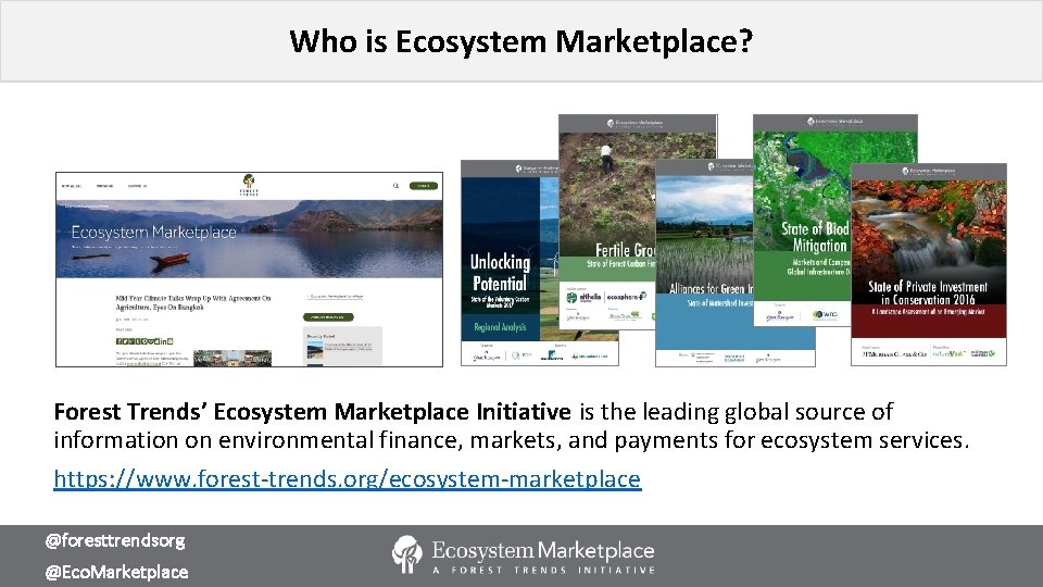 Who is Ecosystem Marketplace? Forest Trends’ Ecosystem Marketplace Initiative is the leading global source
