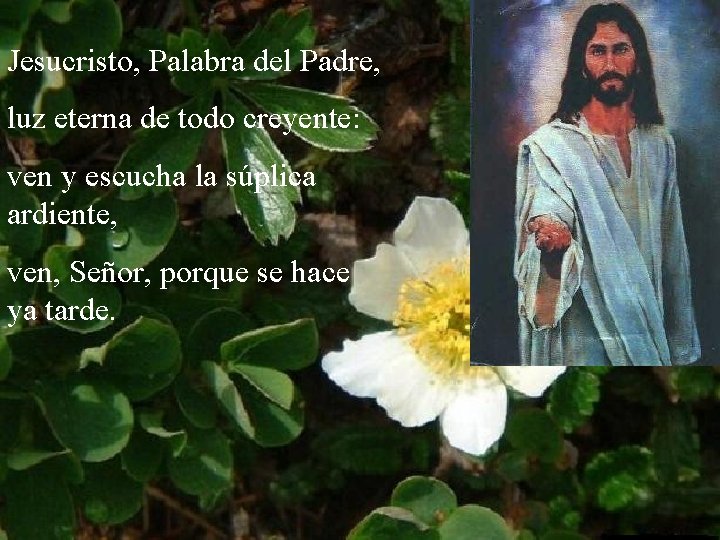 Jesucristo, Palabra del Padre, luz eterna de todo creyente: ven y escucha la súplica