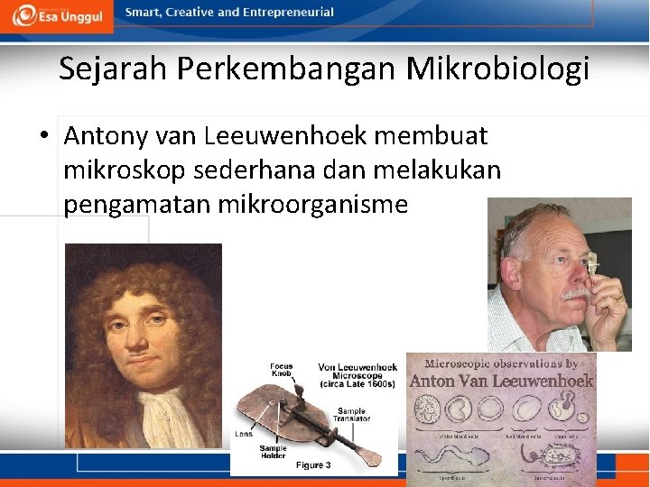 Sejarah Perkembangan Mikrobiologi • Antony van Leeuwenhoek membuat mikroskop sederhana dan melakukan pengamatan mikroorganisme