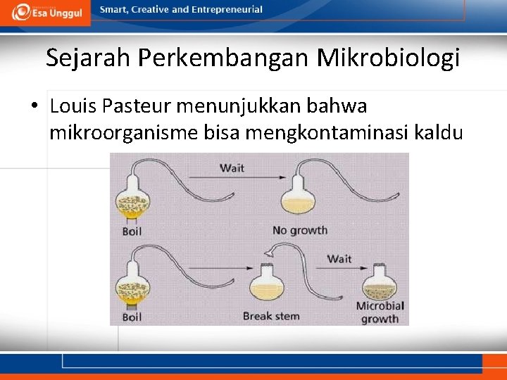 Sejarah Perkembangan Mikrobiologi • Louis Pasteur menunjukkan bahwa mikroorganisme bisa mengkontaminasi kaldu 